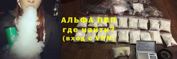 МДПВ Ельня