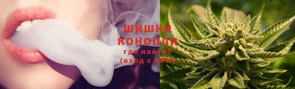 кокс Елизово