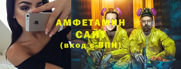 МДПВ Ельня