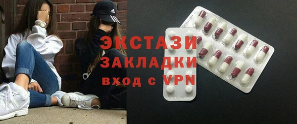 МДПВ Ельня