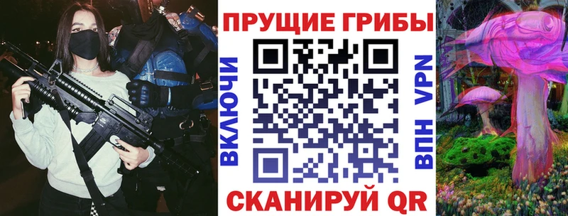 Купить закладки  Славск  Галлюциногенные грибы Psilocybe 